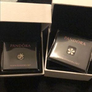 Pandora petite locket charms